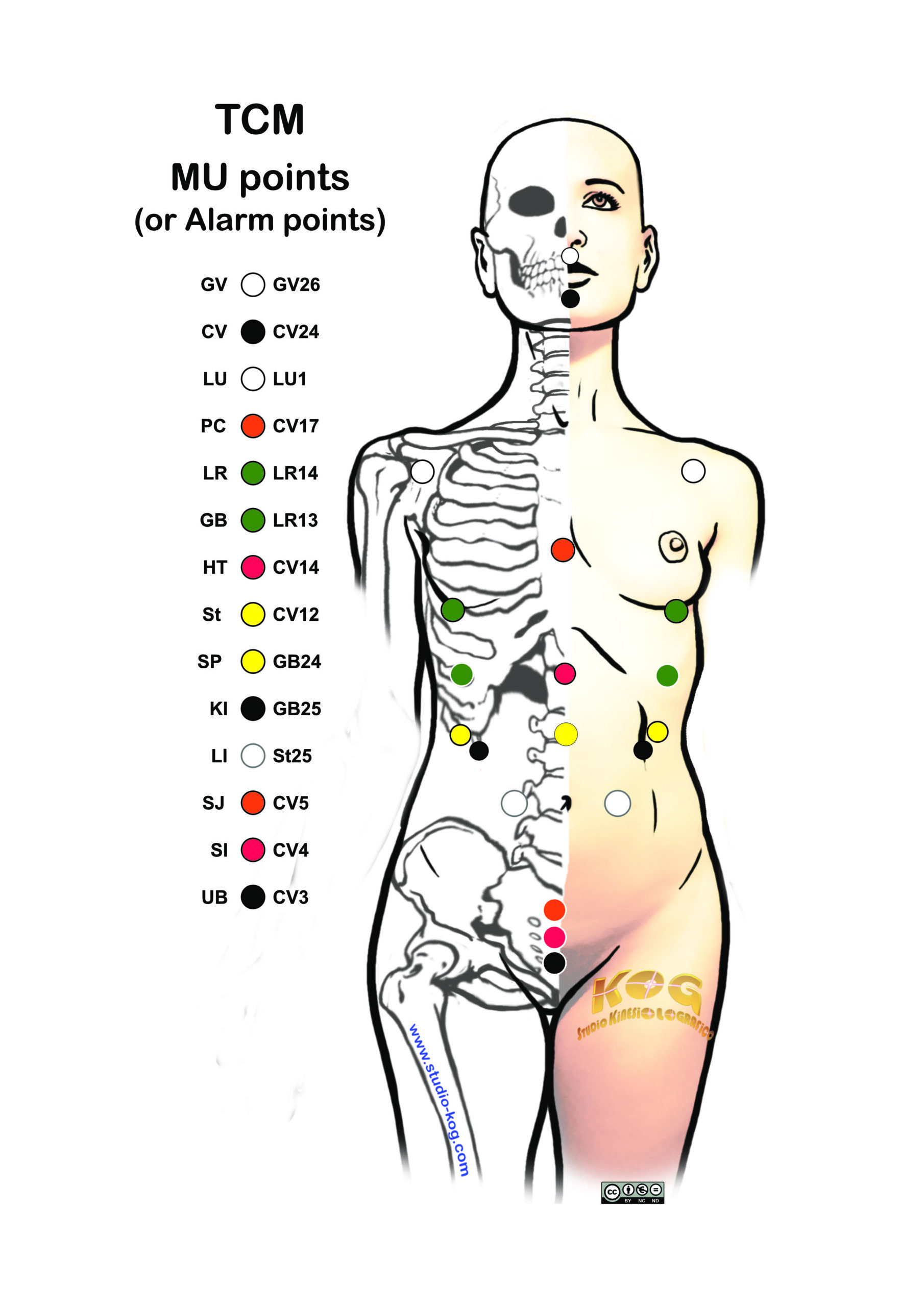 Traditional Chinese Medicine - Mu points