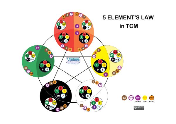 TCM-5-elements-law